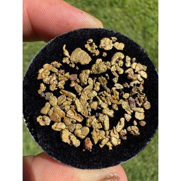 Gold Nuggets from California - 4.36 grams - Picture 3 of 6